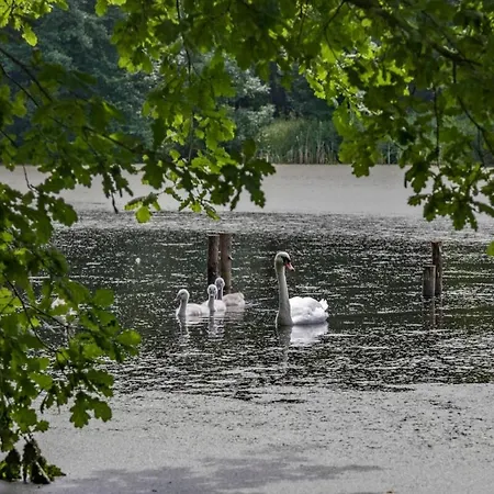 Dreiseitenhof In Ruhiger Lage Haus Gottfriede Holiday home Neukirch (Bautzen)