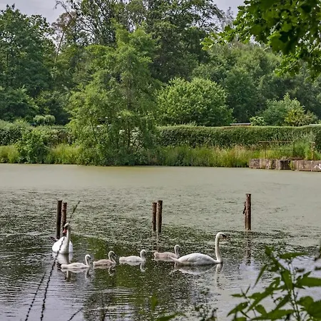 Dreiseitenhof In Ruhiger Lage Haus Gottfriede