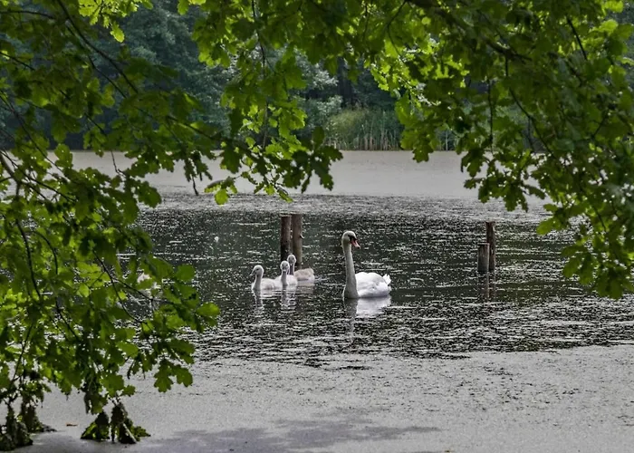 Dreiseitenhof In Ruhiger Lage Haus Gottfriede Holiday home Neukirch (Bautzen)