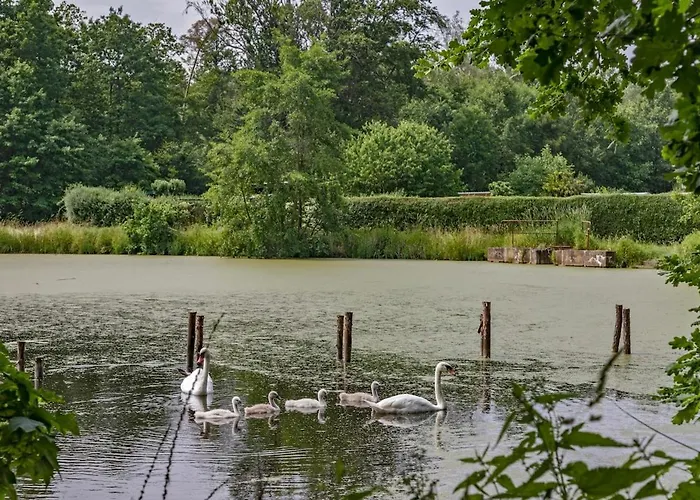 Dreiseitenhof In Ruhiger Lage Haus Gottfriede